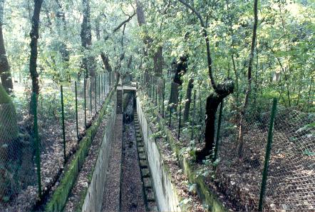 Peschiera (Parco Inferiore)